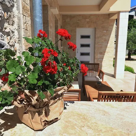 House Bona Hébergement de vacances