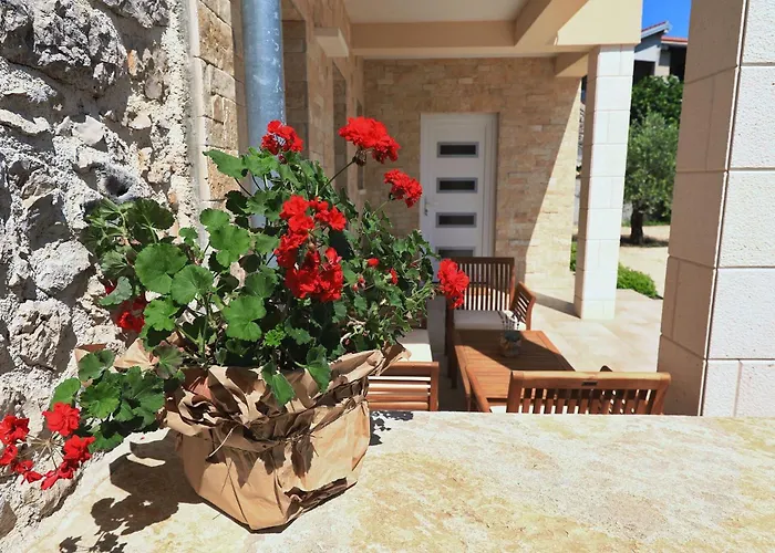 House Bona Casa vacanze